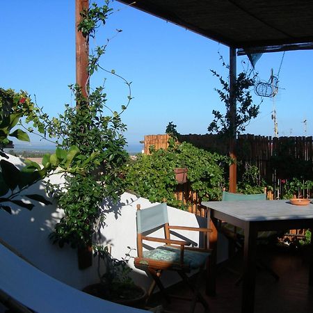 Piazza San Pantaleo Bed and Breakfast Sorso Εξωτερικό φωτογραφία